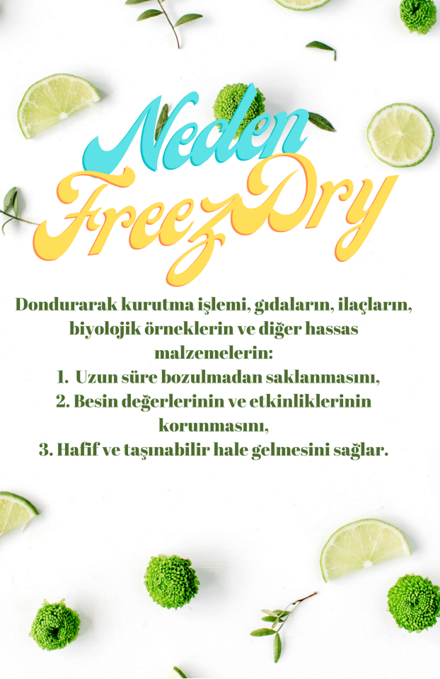 By Tüfekçi Freeze Dry Lime Kurusu – 50 g – görsel 3