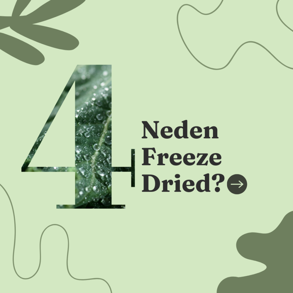 By Tüfekçi Freeze Dry Çilek Kurusu – 50 g – görsel 3