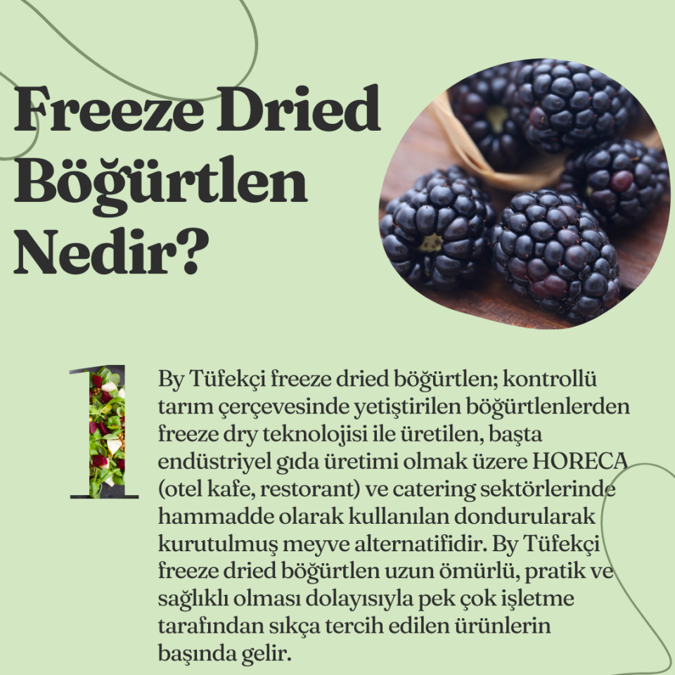 By Tüfekçi Freeze Dry Çilek Kurusu – 50 g – görsel 4