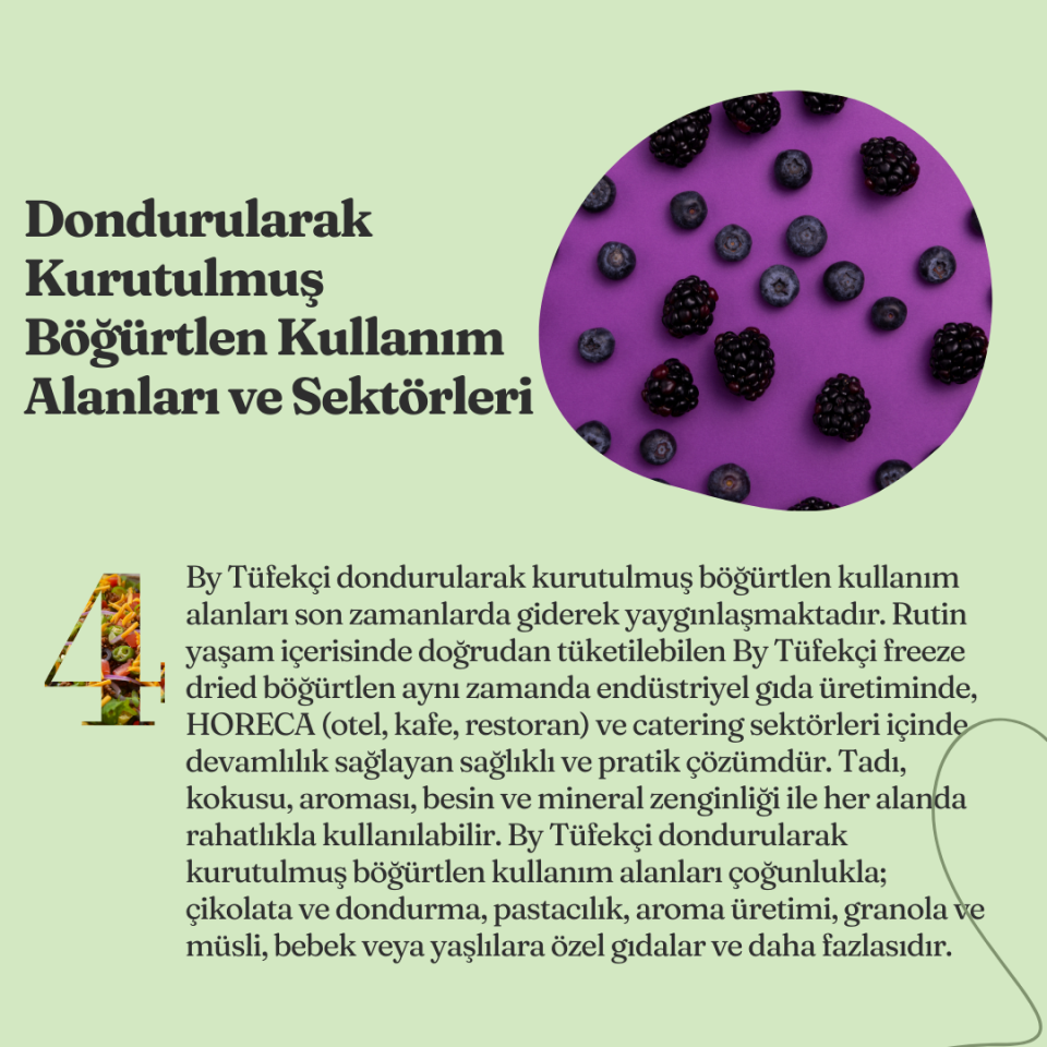By Tüfekçi Freeze Dry Frambuaz Kurusu – 50 g – görsel 7